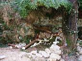 01 presepe nel bosco